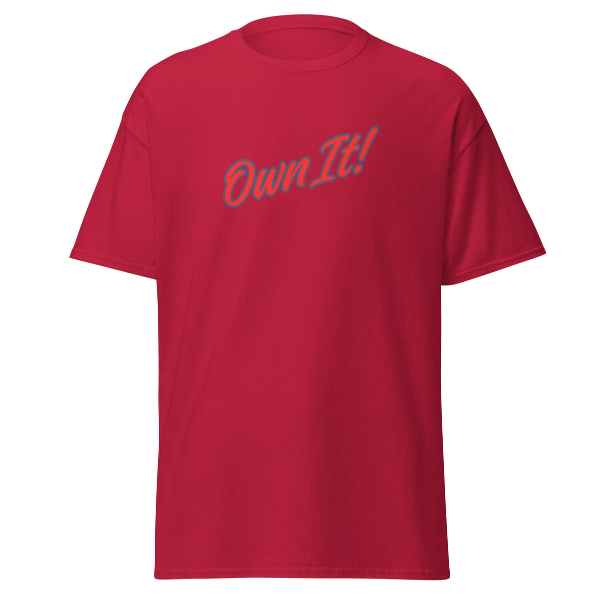 Own It! Unisex classic tee - Ultimate Performance